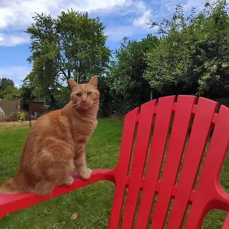 La Casa Bidule Semesterbostad Mouchamps