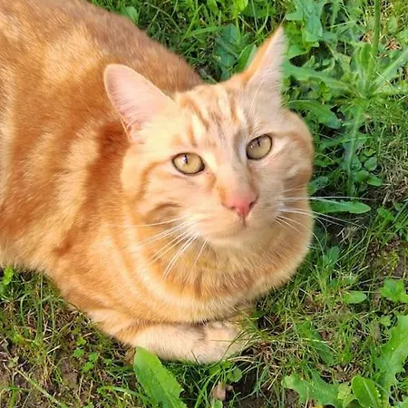 La Casa Bidule Semesterbostad *